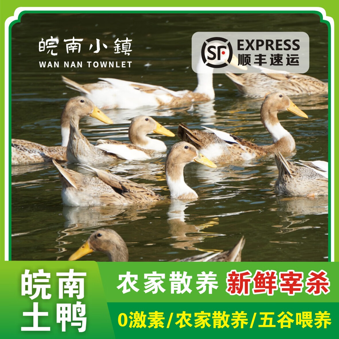 九华山老鸭子整只老麻鸭农家散养土鸭肉溪水养麻鸭河鸭 顺丰速达