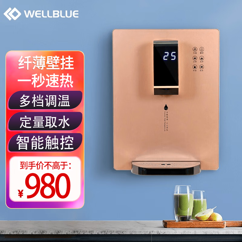 蓝盾 壁挂管线机净水器前置过滤器家用全屋套装中央直饮水机壶软自来