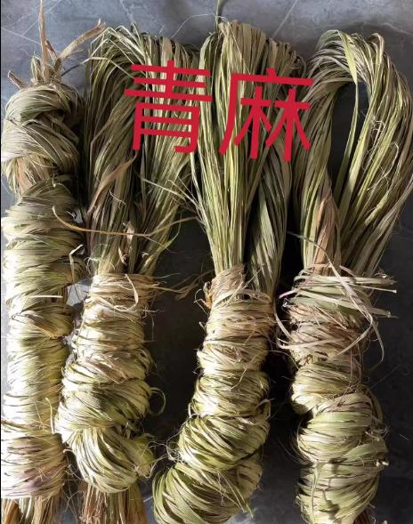 旭杉斯麻丝打草麻绳黄麻皮麻绳皮麻皮苘丝黄麻绳子黄麻河麻植物皮