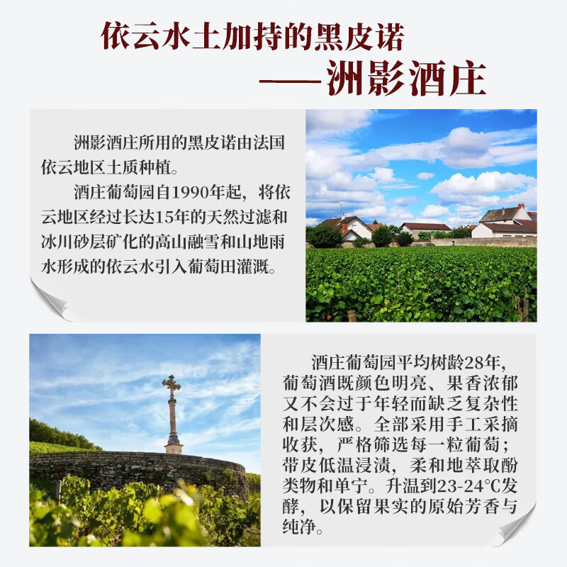 洲影酒庄勃艮第酒庄法国原瓶进口红酒 干红葡萄酒13度送礼 【六支整箱】黑皮诺干红-2018年