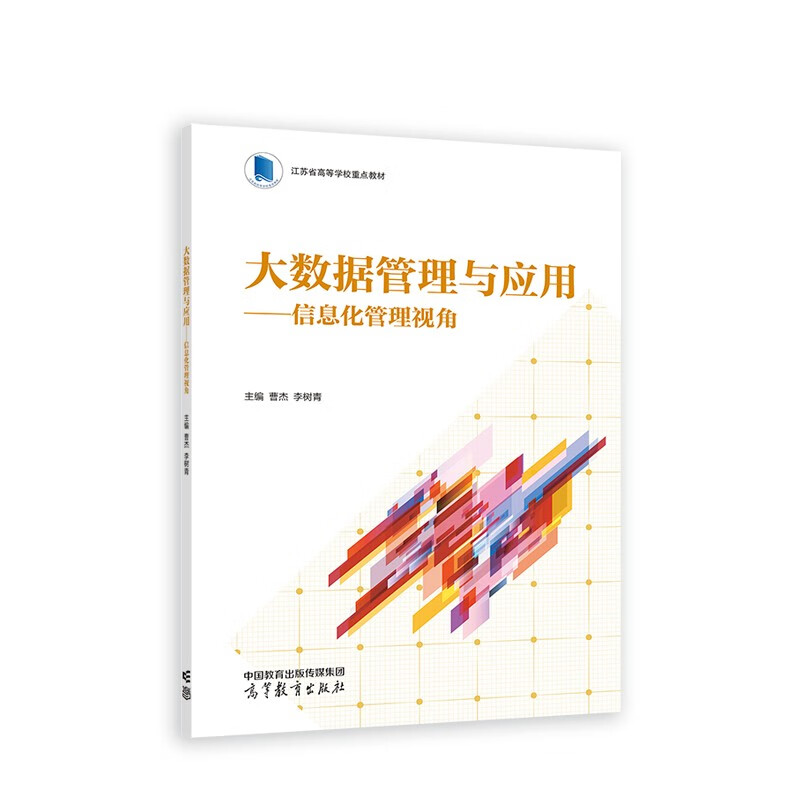 大数据管理与应用--信息化管理视角详情图