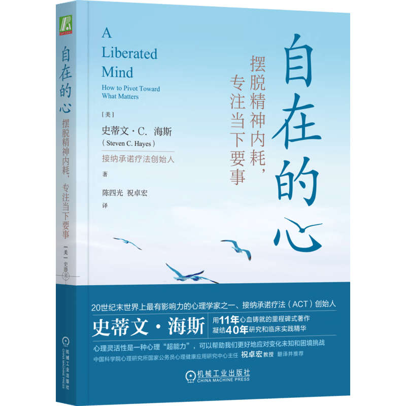 自在的心：摆脱精神内耗，专注当下要事