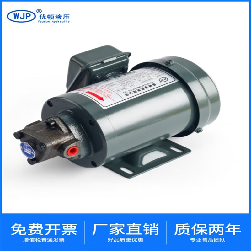 線油泵埔電機(jī)組合液壓齒輪潤(rùn)滑三角擺線循環(huán)鑄鐵泵 10A泵頭+380V直插電機(jī)