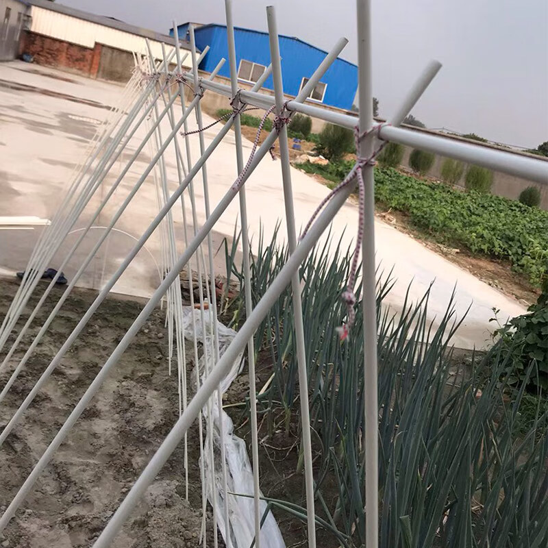 睿格达菜架子蔬菜架杆子蔬菜搭架杆支柱辣椒菜棚玻璃纤维豆角架苦瓜