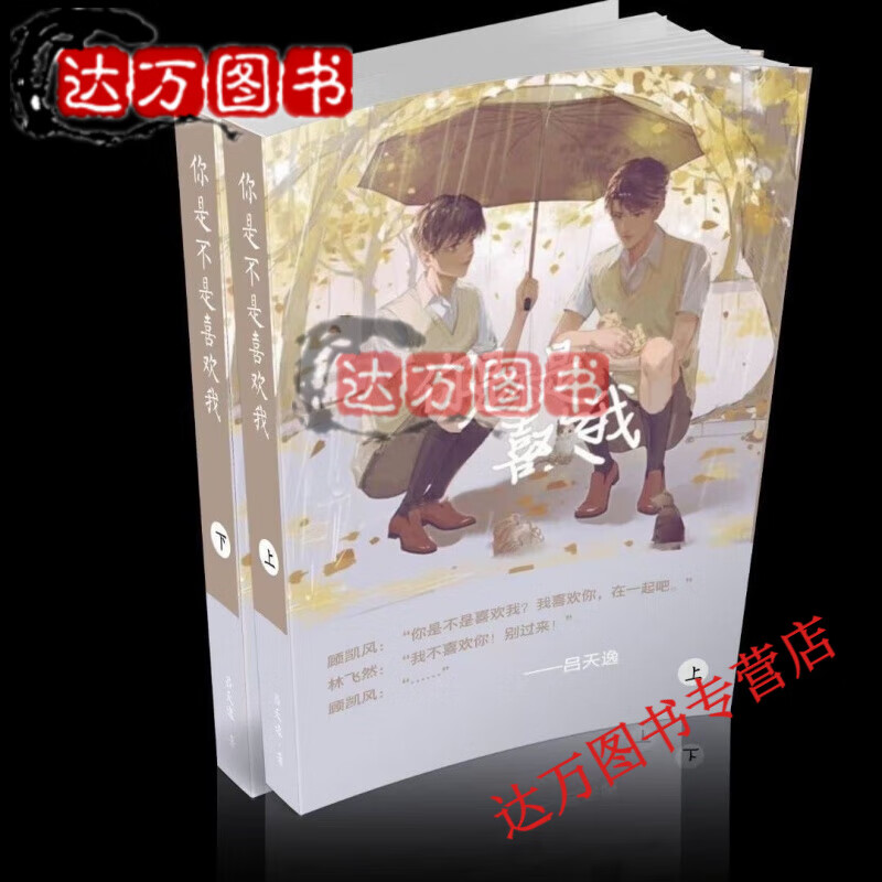 现货 你是不是喜欢我 原文 实体书小说全两册 by吕天逸 未删减 极速