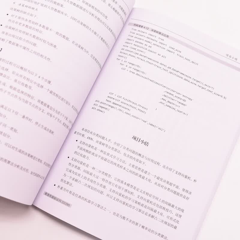 机器学习与数据挖掘（异步图书出品）详情图