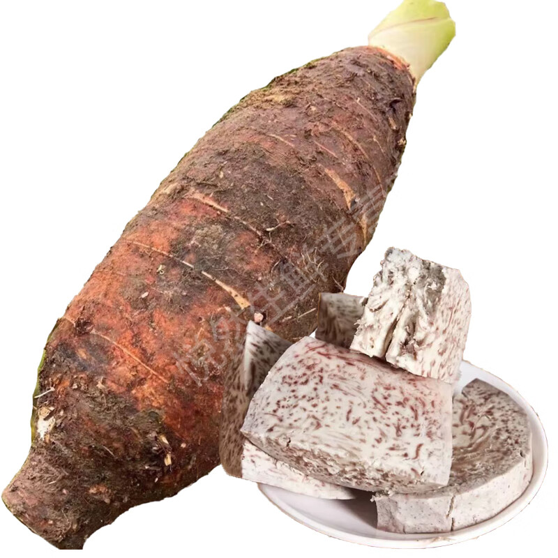 旷古农业乐昌芋头新鲜韶关乐昌香芋槟榔芋紫藤荔浦毛芋当季蔬菜 3斤一