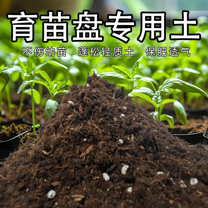 种苗行业的创新与挑战