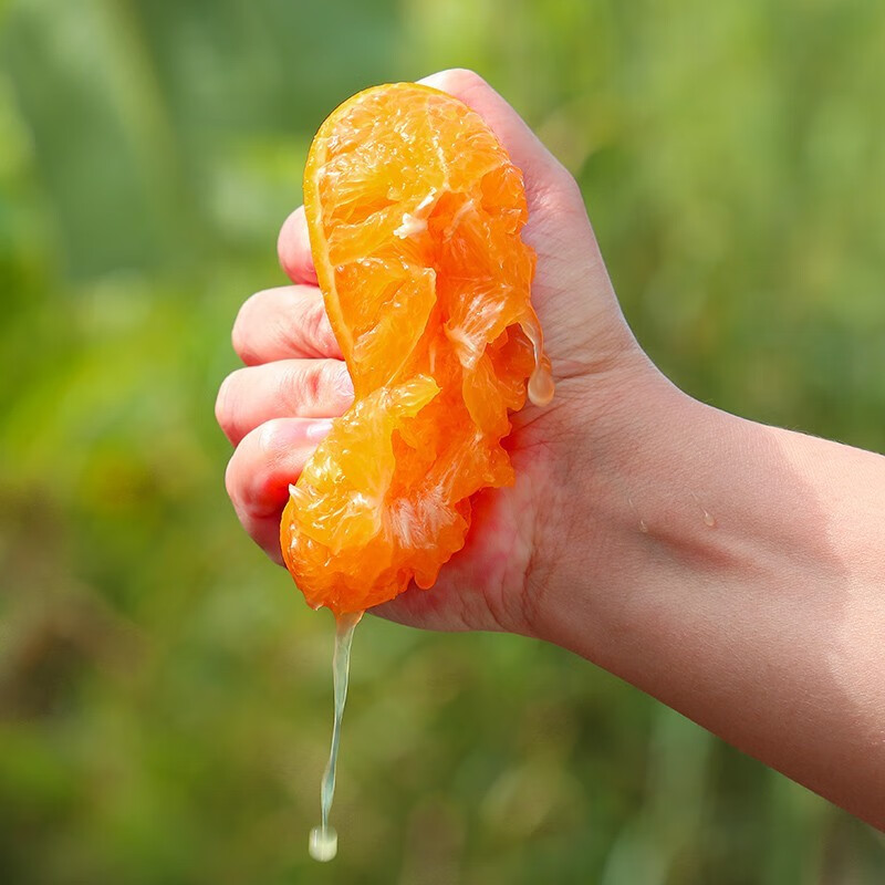 SHINE GRACE爱媛38号果冻橙四川橙子整箱应季水果新鲜橘子礼盒优质彩箱泡沫托 三通一达 净重8斤【单果75mm+】——推荐