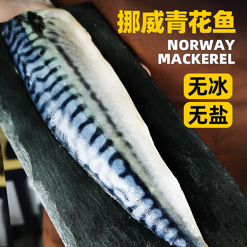 松坡里挪威进口青花鱼冷冻大片新鲜大鲐鱼鲐鲅鱼片鲜活鲭鱼烤青占鱼