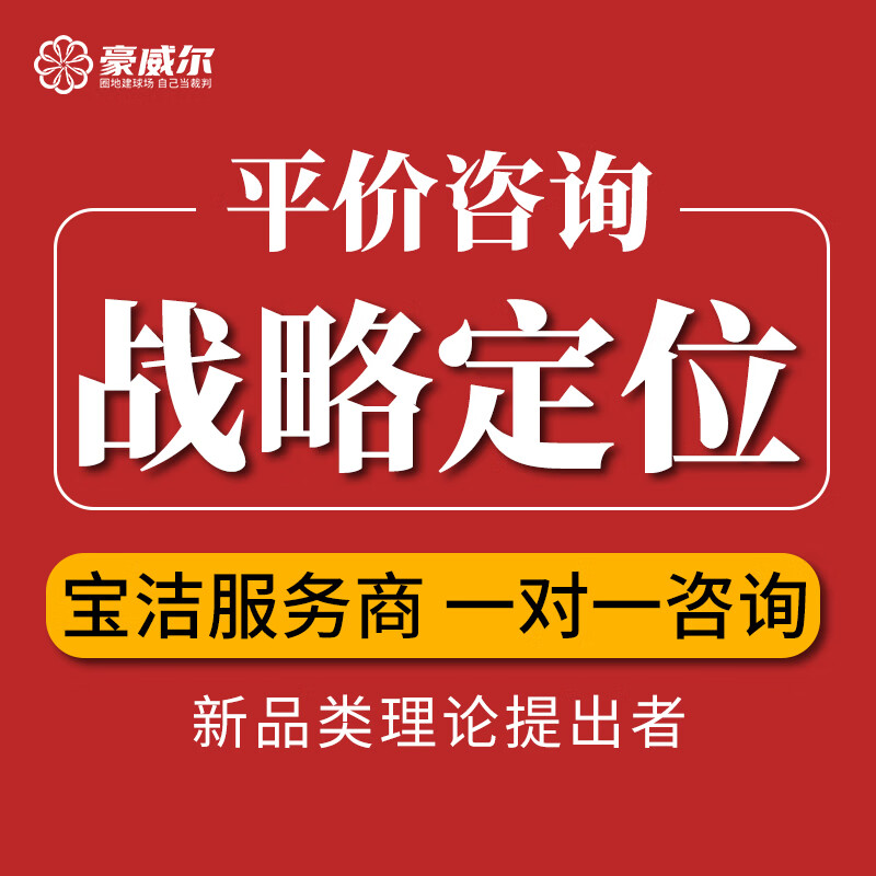 豪威尔商业咨询服务 战略规划策划咨询建议公司实体品牌新品类理论