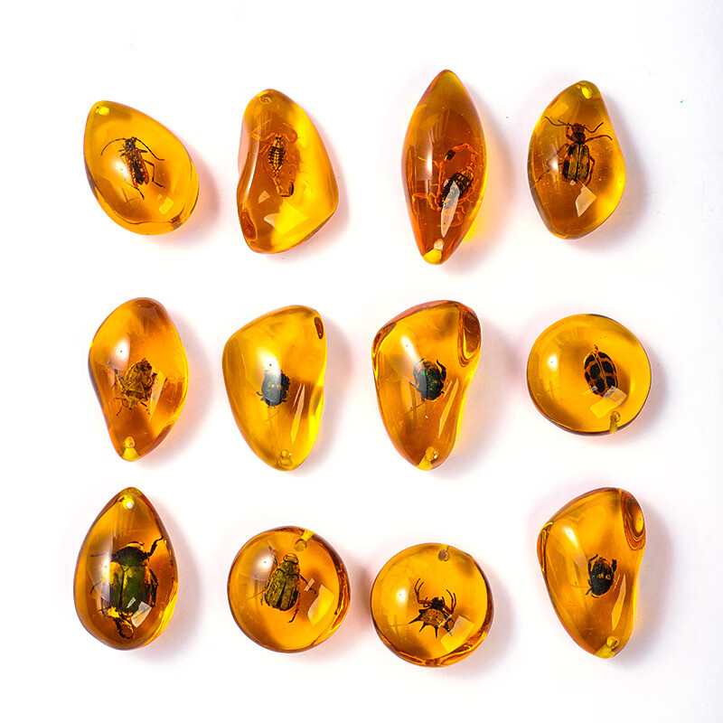 梵达森昆虫标本盲盒昆虫标本琥珀蝎子蜘蛛礼袋蝴蝶知了虫珀原石儿童