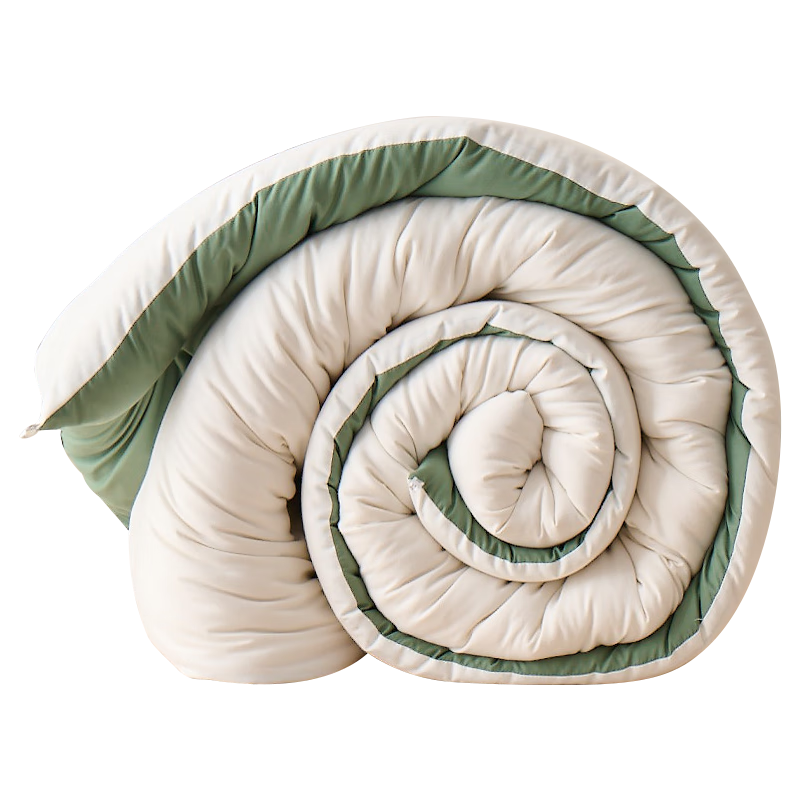 洁丽雅A类面料 被子被芯 加厚秋冬季空调被 双人四季8斤200*230cm