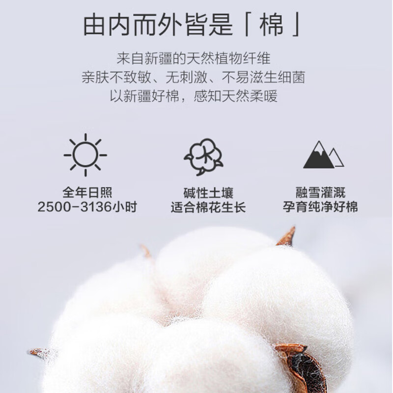 1号会员店100%天然新疆棉花被纯棉被芯冬季厚被保暖无网全棉胎2.0×2.3米8斤