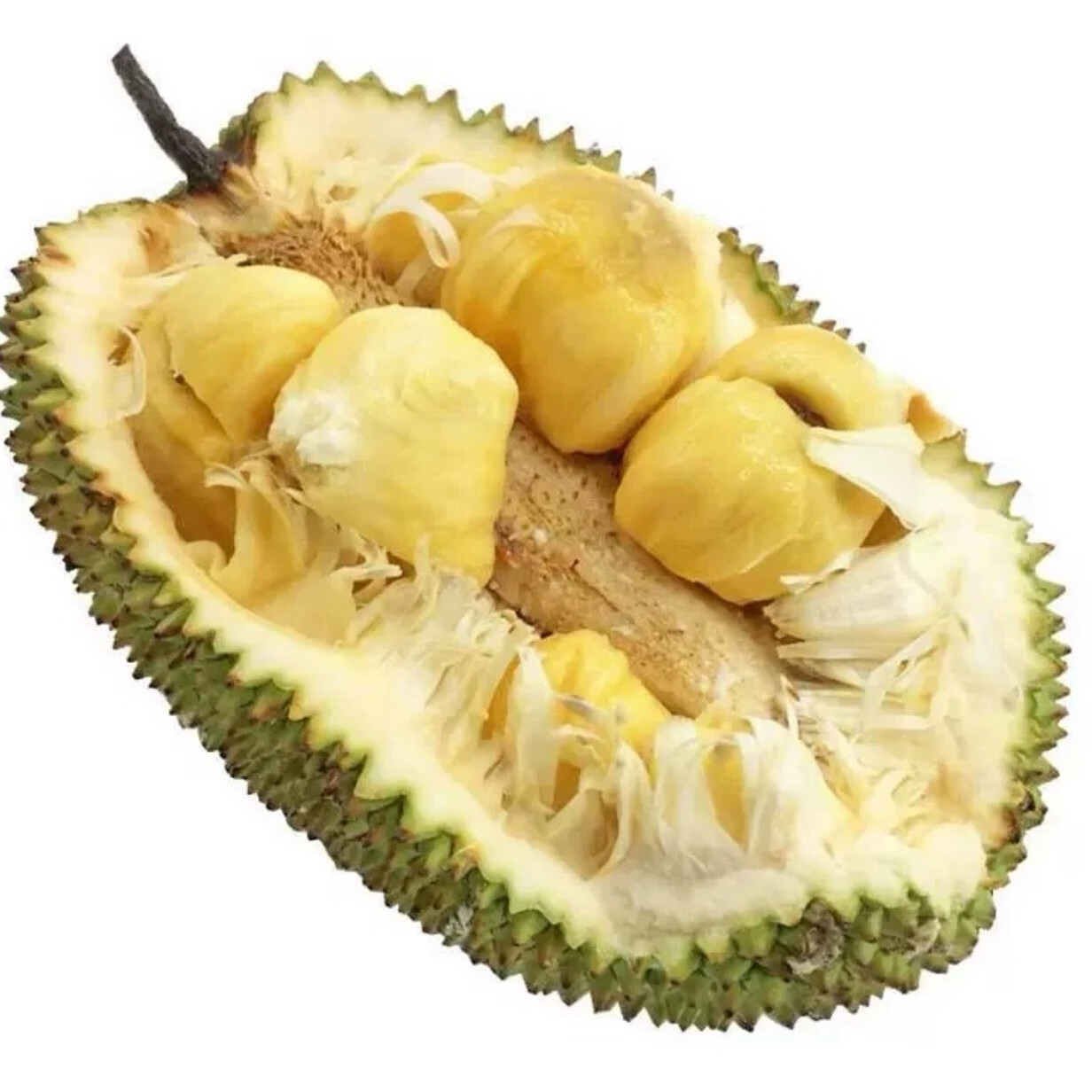 耐寒木菠萝树苗黄肉砂糖广西嫁接苗干包带土金包湿包菠萝蜜果包邮