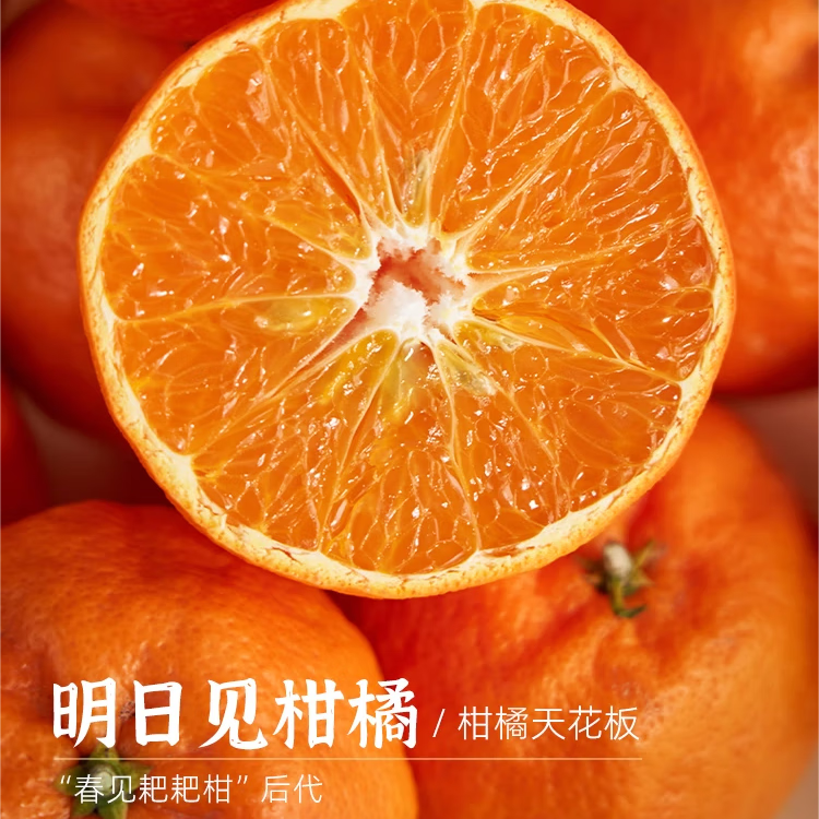 鲜滋度四川明日见柑橘 当季新鲜水果 爆甜多汁 整箱5斤中果果径55mm-70mm