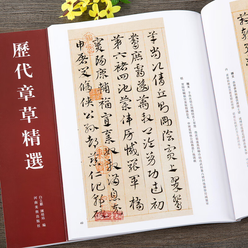 正版历代章草精选居延汉简张芝秋平善孤不度德量力月仪帖字帖