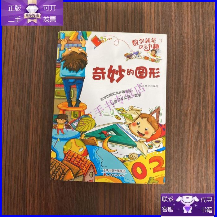 【正版9成新】数学就是这么有趣:奇妙的图形