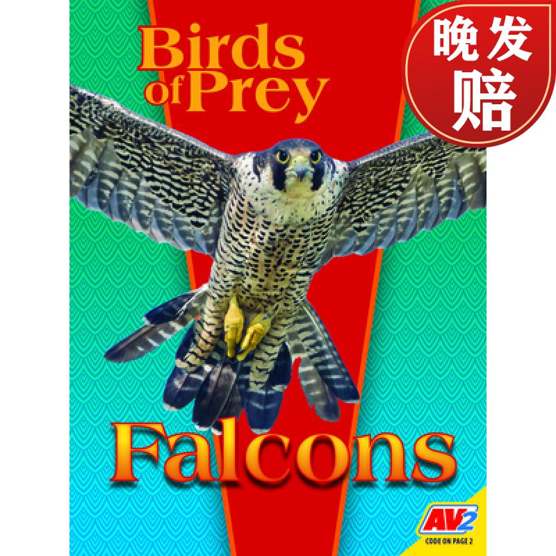 【4周达】falcons