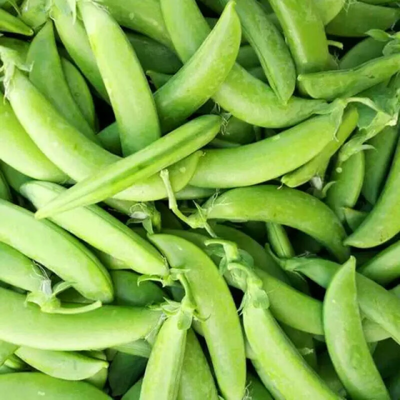 旺园兴云南新鲜甜豆 现摘现发农家自家种脆甜鲜嫩豌豆碗豆蔬菜带壳