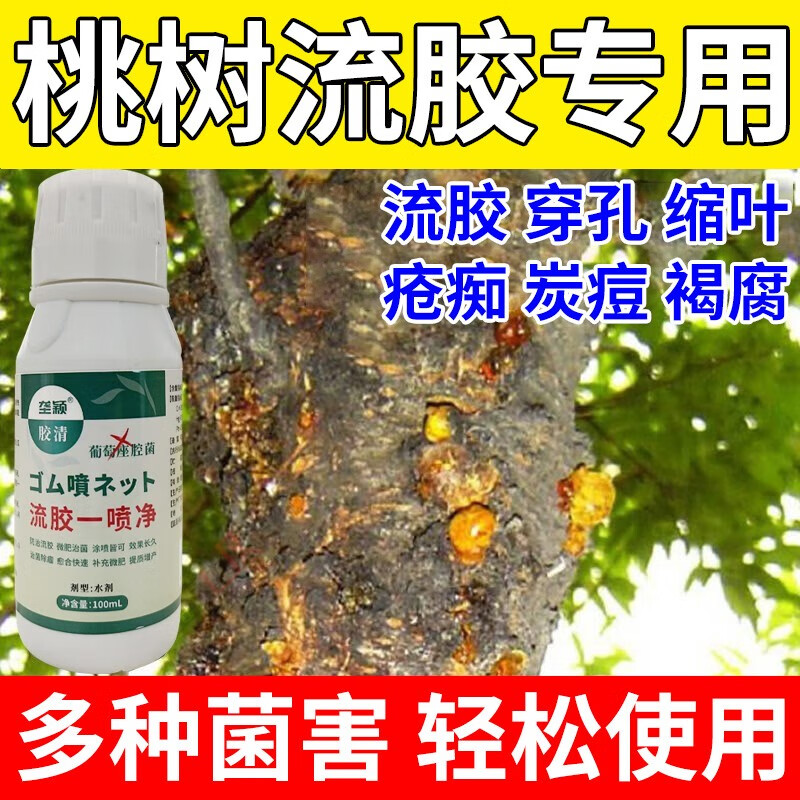 果树流胶专用流胶一喷净樱桃杏树果树溃疡桃树流胶防止穿孔缩叶 流胶
