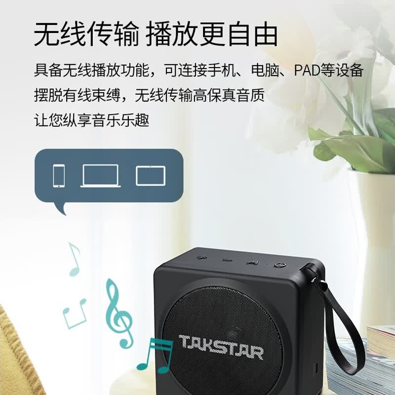 得胜 E261W无线教学扩音器领夹式发射器手持麦克风扩音器导游讲解无线小蜜蜂有线无线两用多功能扩音器 E261W无线手持麦版