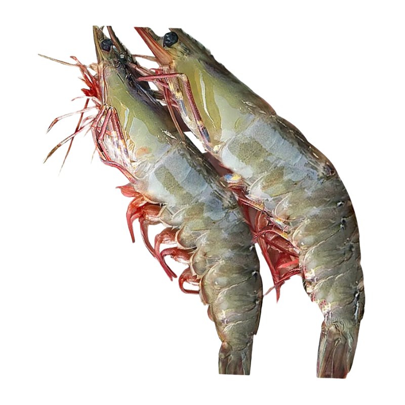 ������ Ϻ �ൺ��Ϻ�ʻ��䶳��ΧϺ ������Ϻ 3��(����)   ����Ϻ 30/40���