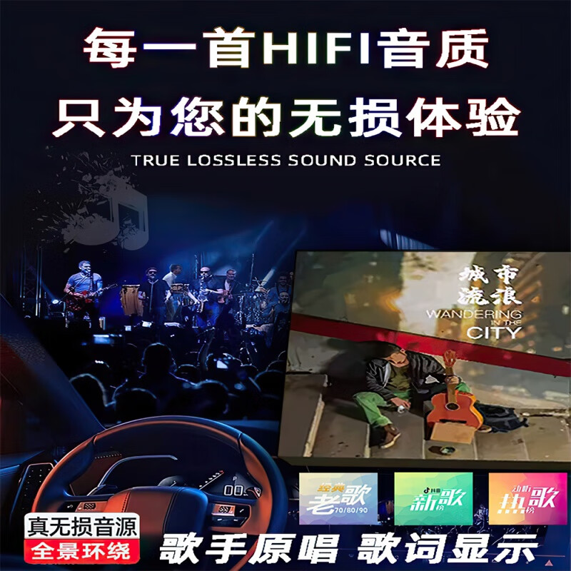 九头鸟车载车载经典老歌粤语怀旧歌曲708090高品质无损音乐u盘 64G【3000多歌曲+800部视频】 【黑胶唱片】音质