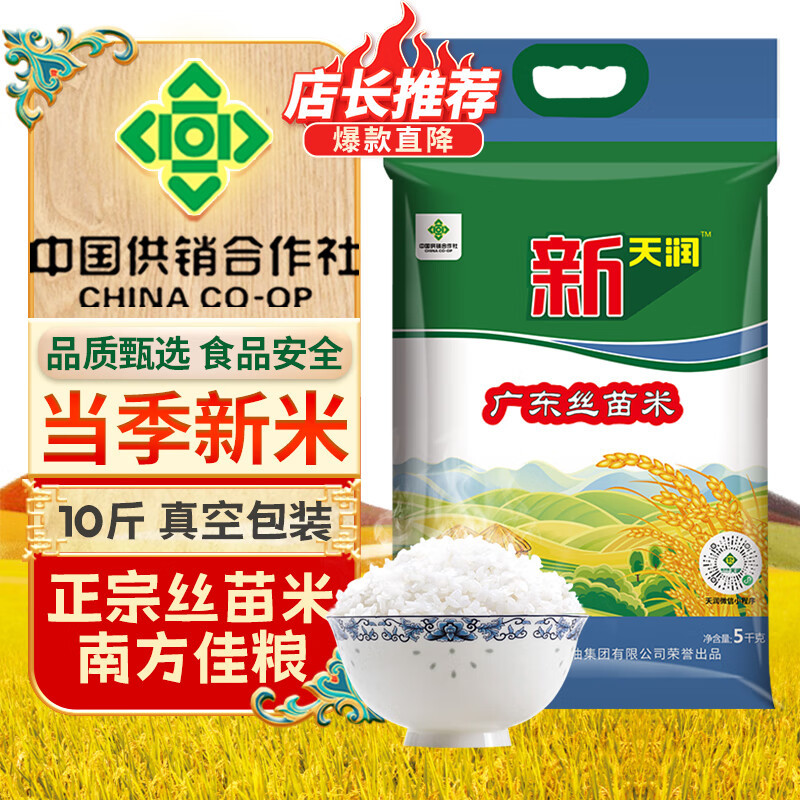 新天润广东丝苗米 5kg 十斤 南方籼米 大米 新供销天润 煲仔饭米 【真空装】广东丝苗米 5kg
