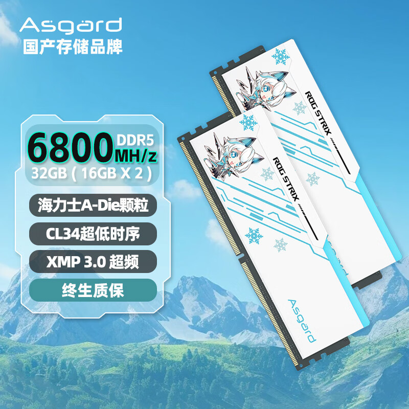 阿斯加特（Asgard）32GB(16Gx2)套 DDR5 6800 台式机内存条 吹雪联名款马甲