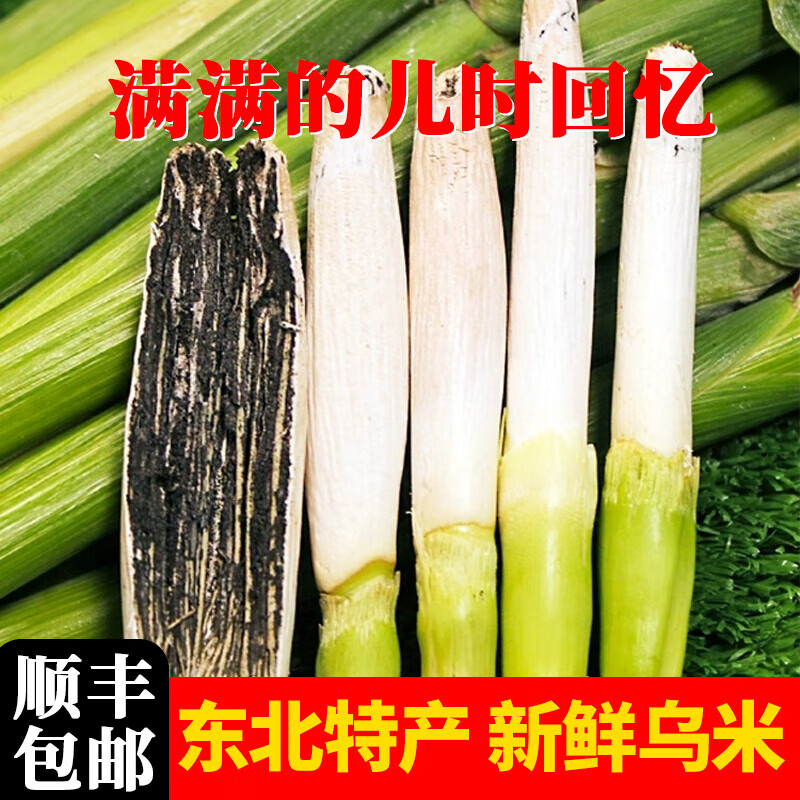 薇枫馨东北特产高粱乌米新鲜现摘乌咪带皮头茬青乌闷农家蔬菜玉米