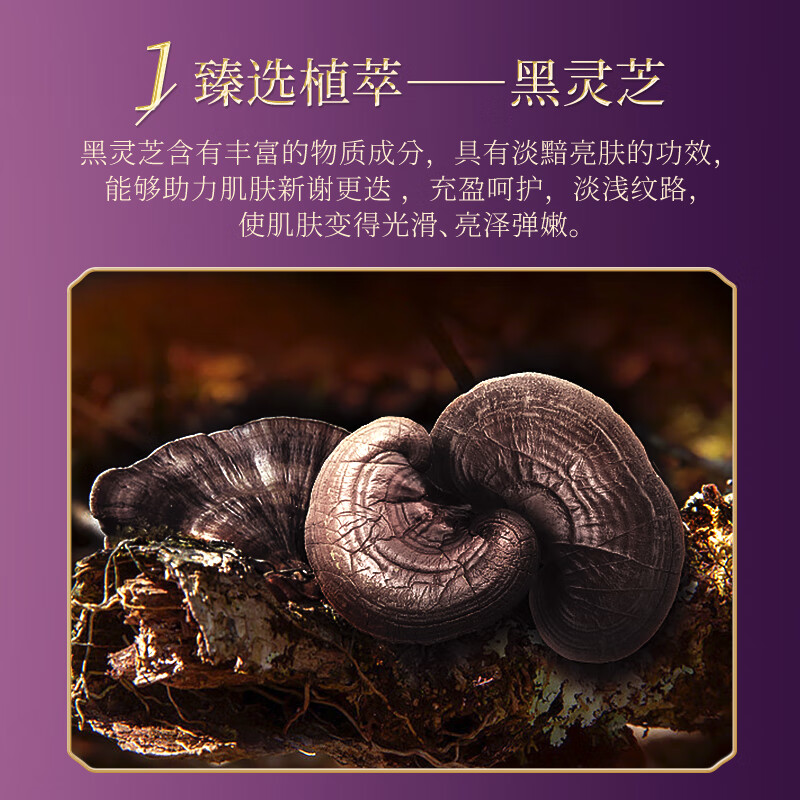 韩美肌(Hanmeiji)灵芝润肤美颜套装补水保湿紧致护肤化妆品礼盒 【淡纹紧致】灵芝润肤六件套
