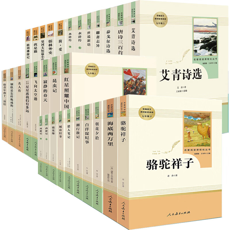 人教版朝花夕拾海底两万钢铁是怎样炼成的儒林外史简爱七7八8九9 围城（人民文学出版社） 无规格