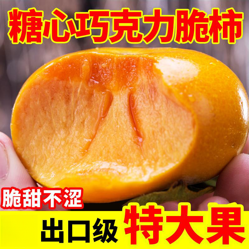 田良季巧克力脆柿子【闪送】山西阳丰柿子硬糖心新鲜水果送礼物盒中秋节 精选果5斤礼箱丨单果140-160g+ 5A商超级