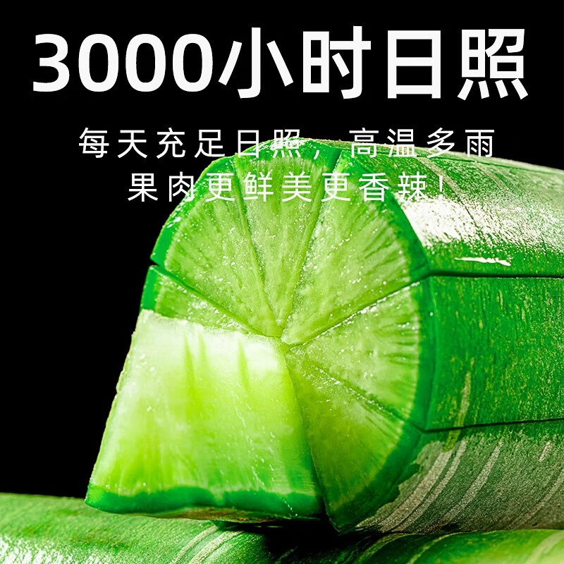 源惠鲜礼【到吃萝卜季节啦】新鲜潍坊水果萝卜 潍县绿萝卜 生吃脆甜新货 潍县水果萝卜 3斤装