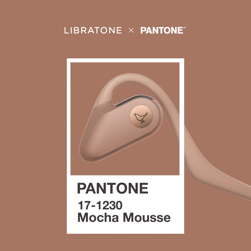 LIBRATONE小鸟UP耳机PANTONE限定版开放式蓝牙耳机不入耳后挂式跑步运动骑行轻便时尚无线耳机 摩卡慕斯(PANTONE限定版)