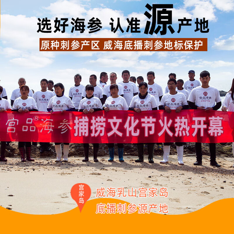 宫品 【威海原产地】有机淡干海参3A250g15-30只底播刺参 端午节干货