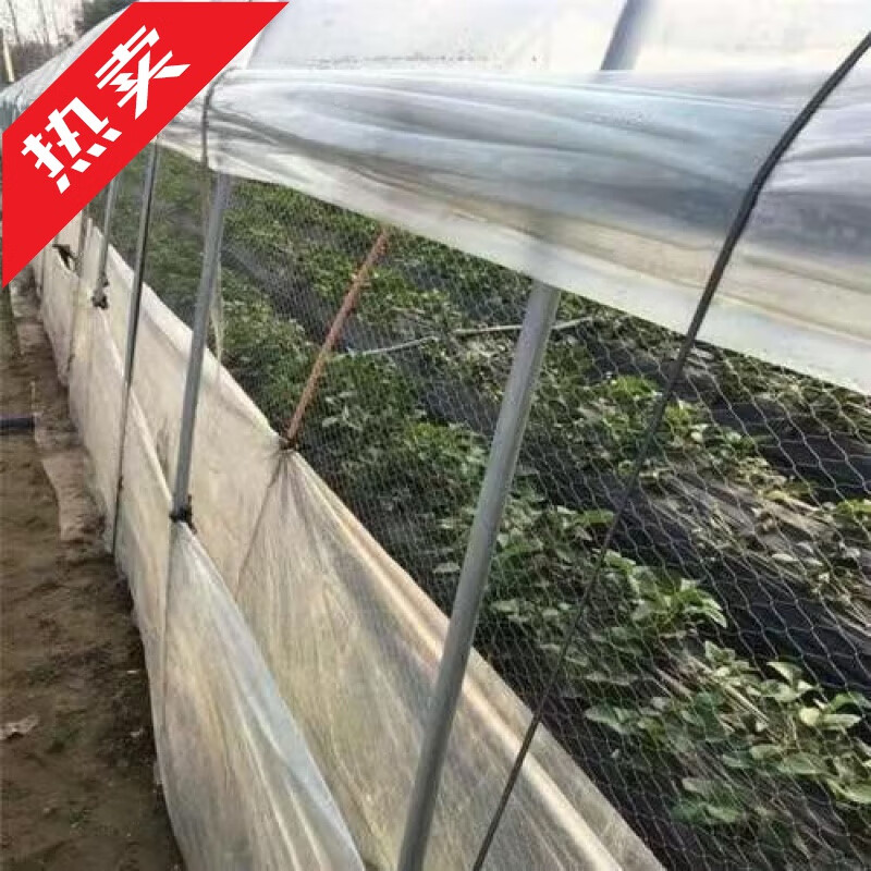 山头林村麻雀捕捉自动网果园鸟网涤纶合股网樱桃葡萄新款加厚鱼塘用