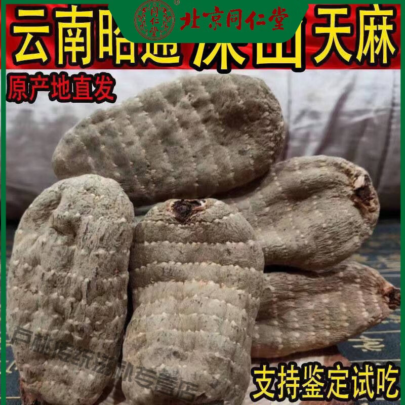 北京同仁堂天麻云南昭通小草壩黑天麻非野生精選代打天麻粉代切片烏天麻無硫 6頭烏天麻500g 整個