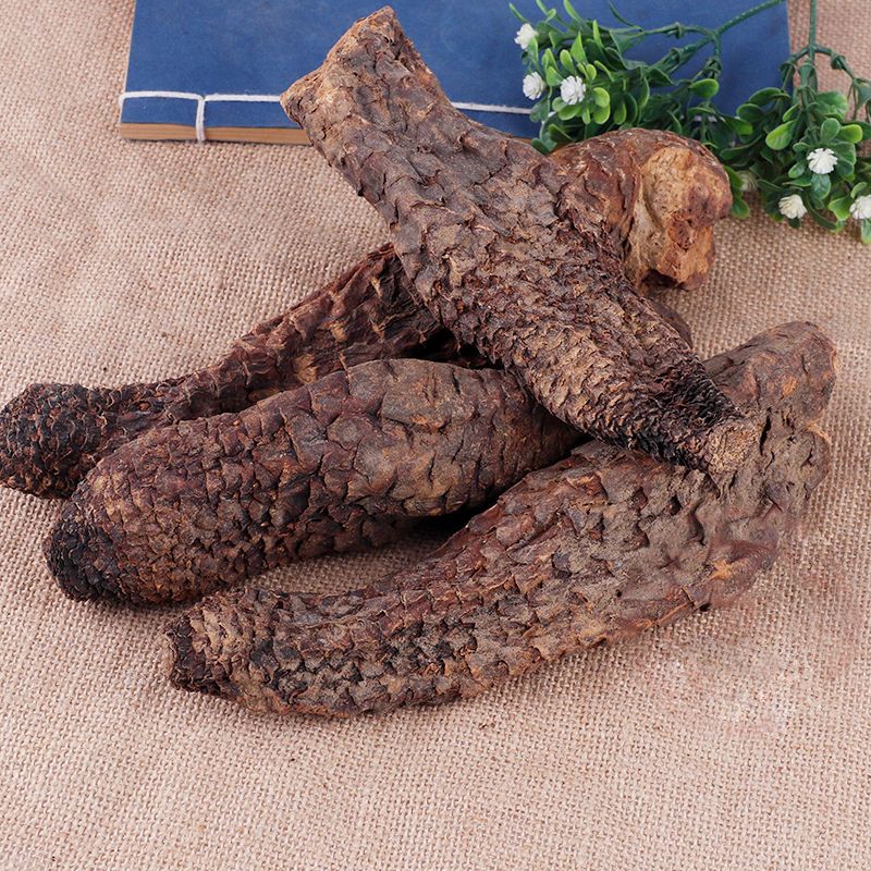 北京同仁堂中药材 新疆 肉苁蓉 大云 大芸 配锁阳