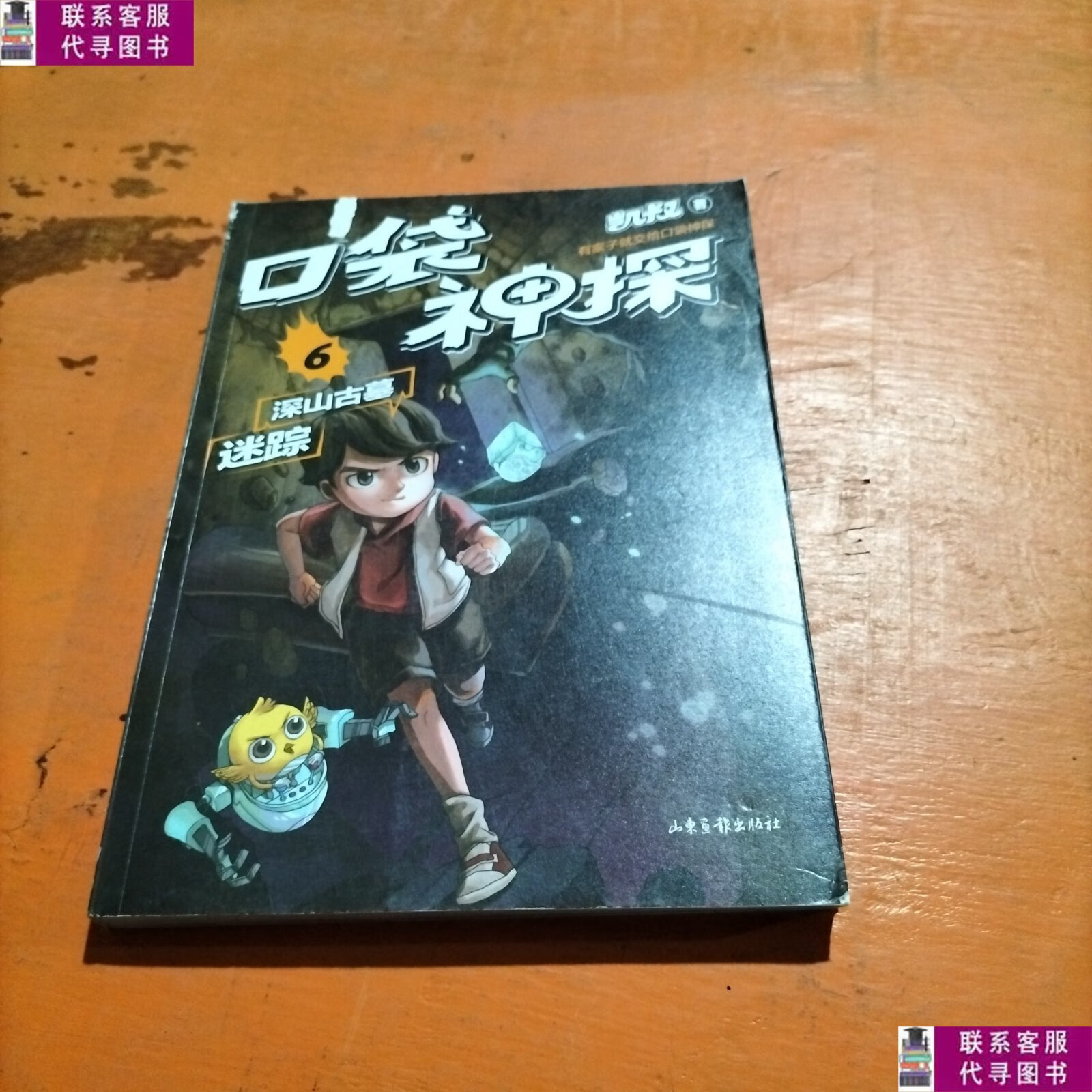 【二手9成新】凯叔口袋神探6深山古墓迷踪 /凯叔 山东画报出版社
