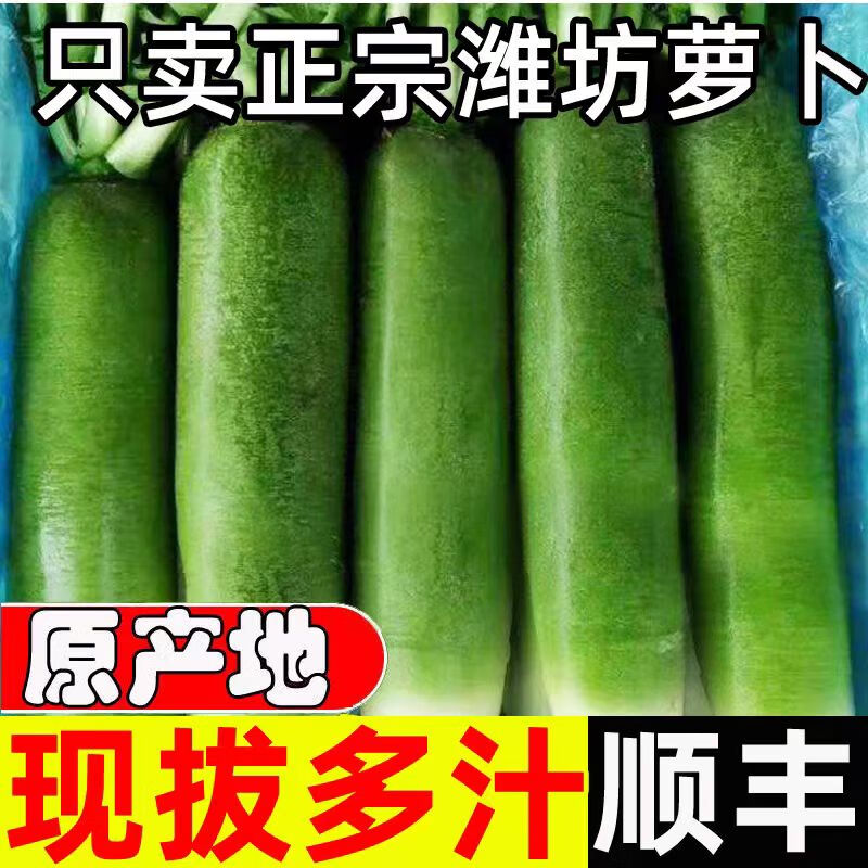 农大姐妹【顺丰】山东潍坊水果萝卜 潍县萝卜 产地直发礼品盒脆甜微辣爽口 9斤礼盒