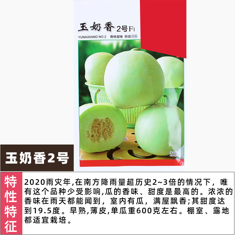 禾之润鼎牌种业玉奶香薄皮甜瓜种子绿皮早熟香瓜奶香味瓜果种籽孑水果