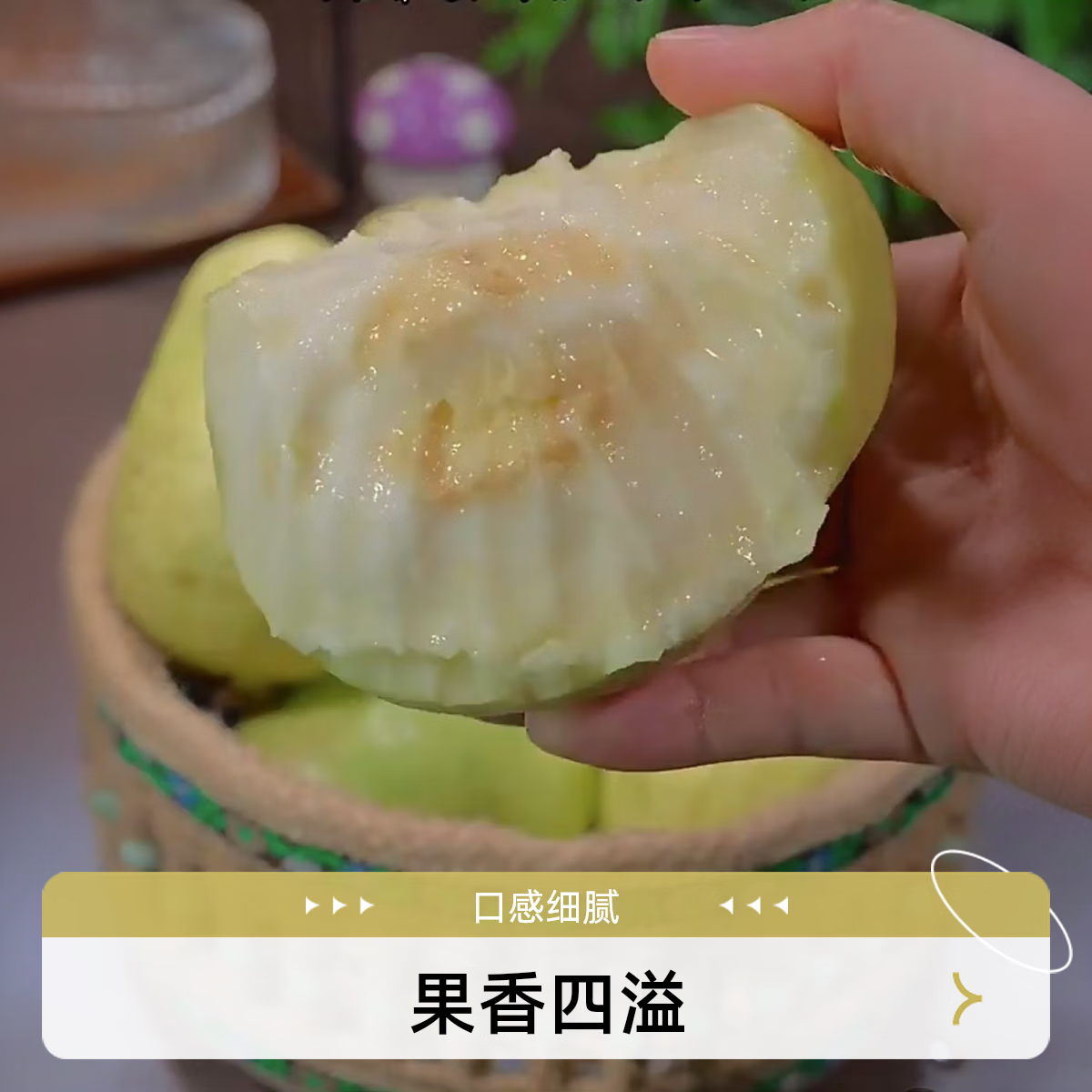 蓝易脆广西新鲜黄金奶油白芭乐冰激凌芭乐软糯土番石榴孕妇水果鸡屎果 广西奶油芭乐老树果 5斤奶油 大果
