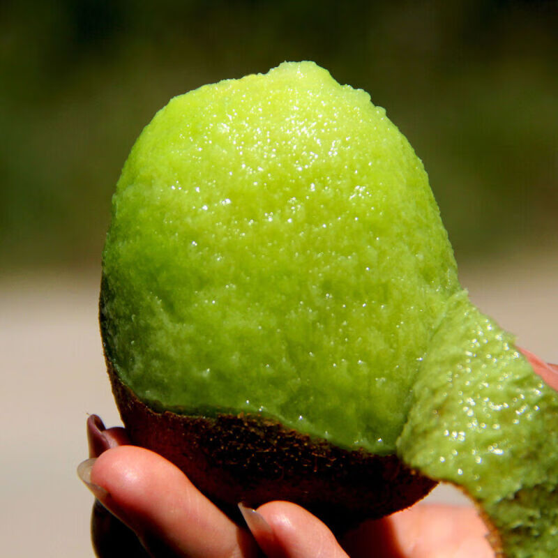 牛爱鲜 徐香猕猴桃陕西绿心奇异果当季新鲜水果生鲜 绿心果30枚单果60-80g 源产地直发