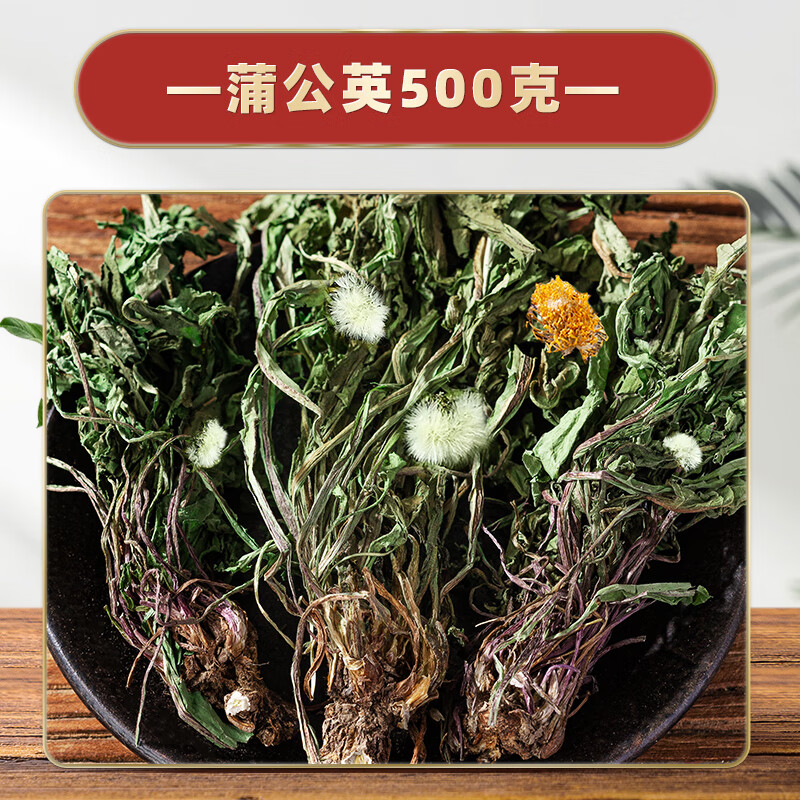 野生中药材浦公英蒲整棵整株蒲公英干货新鲜晒干 野生蒲公英整根500克
