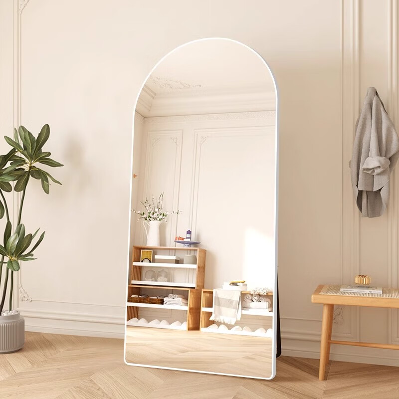 world拱形全身落地穿衣镜网红女生家用玄关可移动落地式立体大镜子