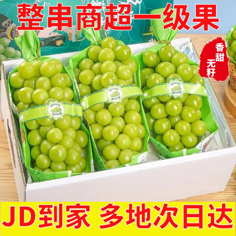 驰振晴王阳光玫瑰葡萄香印无籽提子新鲜应季孕妇水果年货春节送礼 精品果3斤装净重2.5斤【单颗8-10g】 京东折扣/优惠券