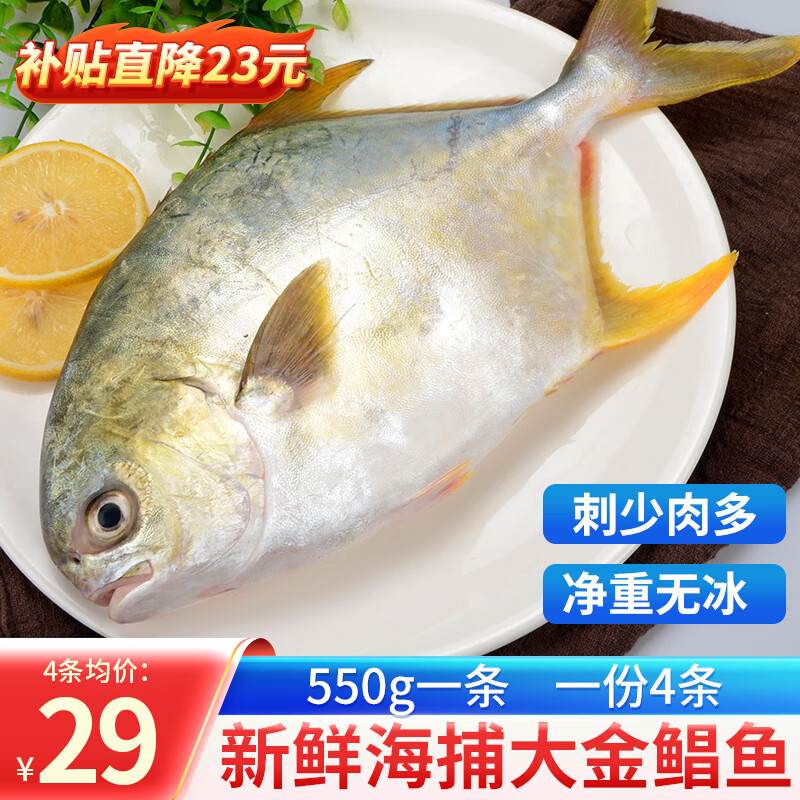 渔哥戏鱼 新鲜青岛海捕金鲳鱼 袋装 大鲳鱼平鱼扁鱼 海鲜水产 2200g （4条）