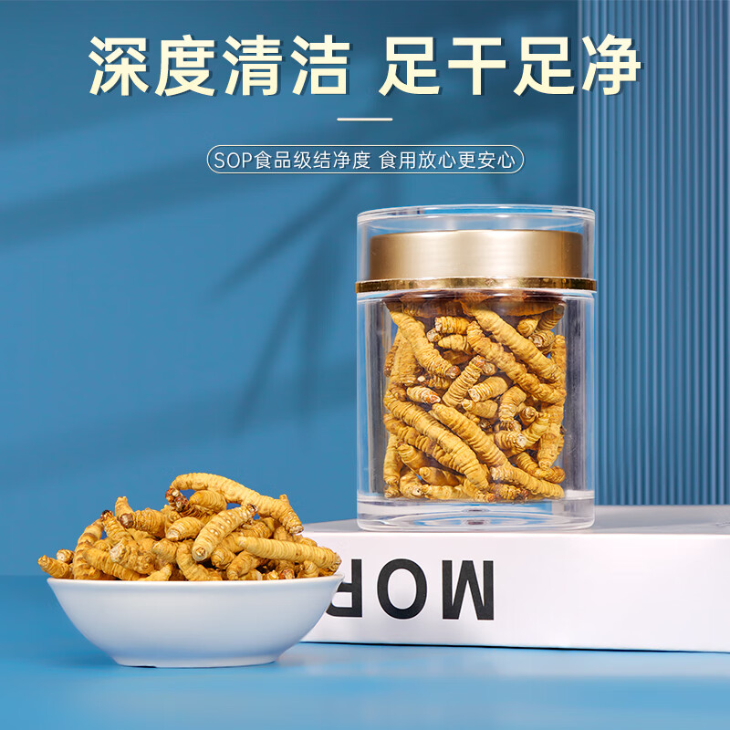 藏汐堂 冬虫夏草 新干头期纯肉节虫草 实惠家庭滋补品 大号纯肉节 20g*1盒 【送1克】